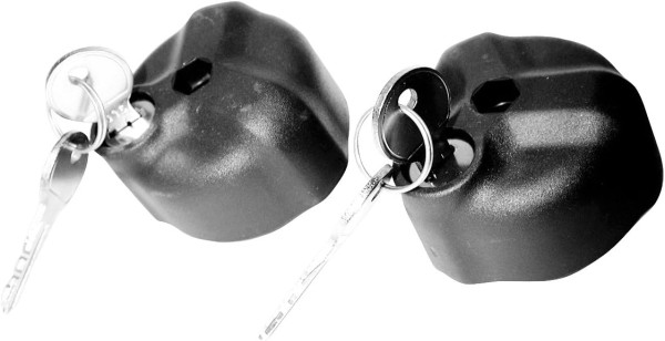 Eufab Knebelmutter abschließbar 2er Pack M6 M8 für Fahrradträger / Rahmenhalter